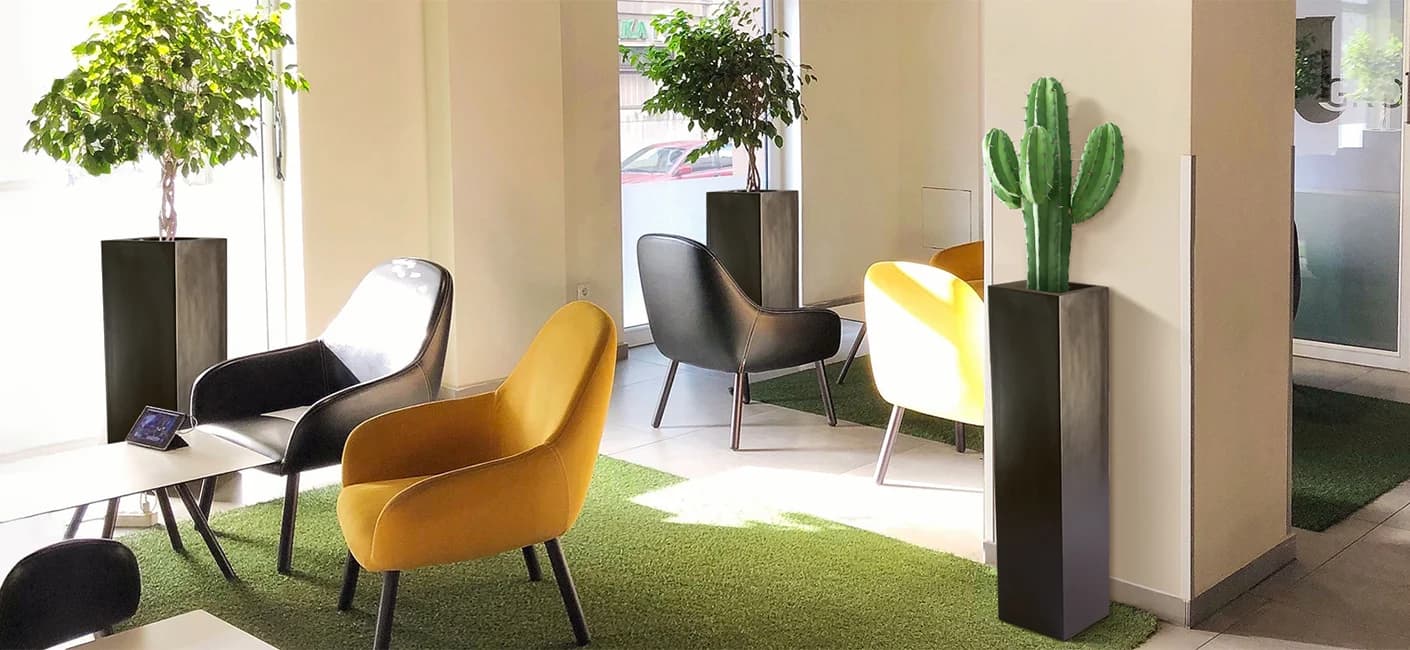 benefits of having plants in your office