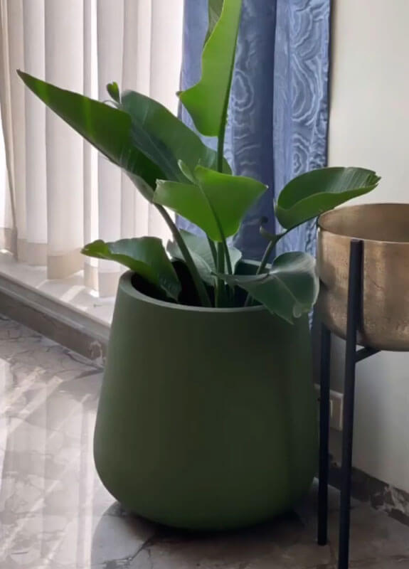 fancy indoor plant pots