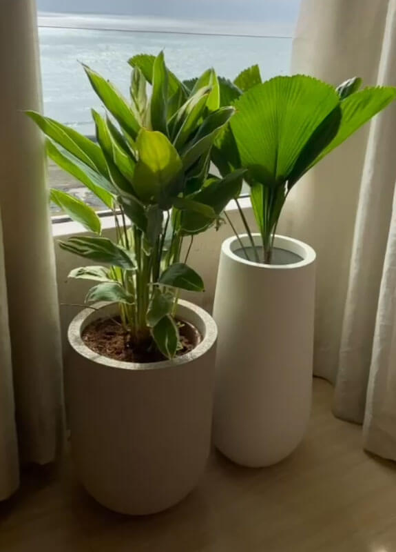 fancy indoor plant pots