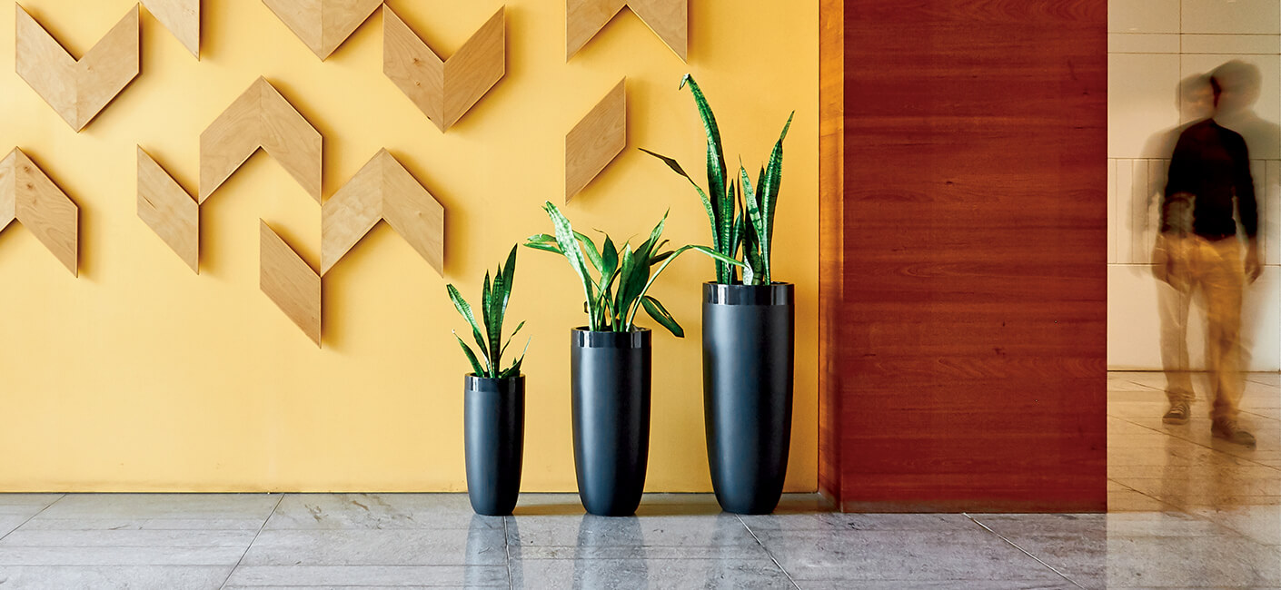<p>Use indoor flower pots to spruce up your home decor; here’s how</p>